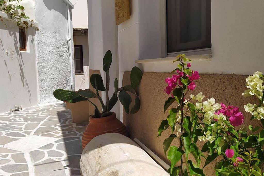 Villa Naxion Esti - Διαμονή Στην Παλιά Χώρα Της Νάξου Naxos City Exterior foto